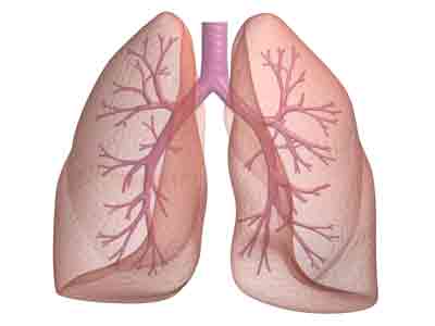 asthma.brochitis