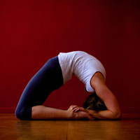 Kapotasana