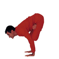 Padma Bakasana