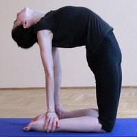 Kukkutasana