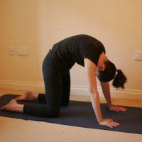 Utkatasana