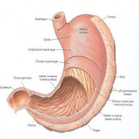 Dyspepsia