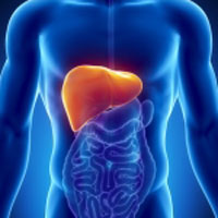 Congested Liver Inactive Kidney